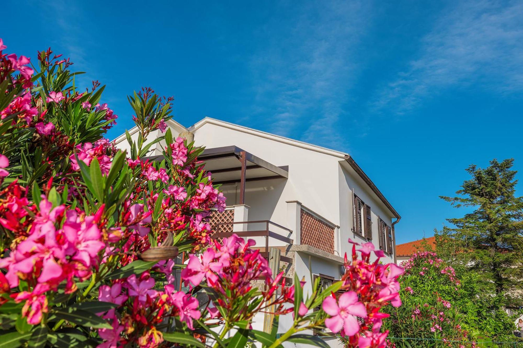 Apartment Vinka Baska  Luaran gambar